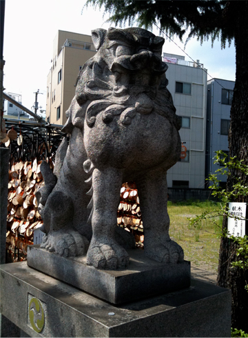 今戸神社 狛犬