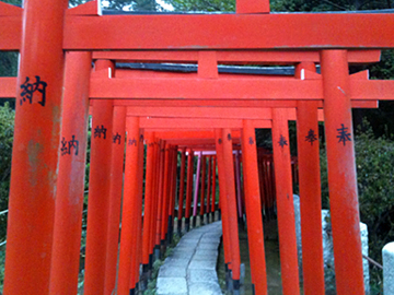 根津神社 乙女稲荷神社 鳥居