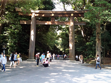 明治神宮 鳥居 南参道