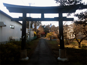 野々宮神社 鳥居