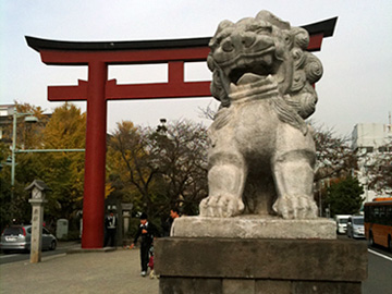 鶴岡八幡宮 狛犬