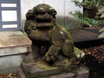 北澤八幡神社 狛犬