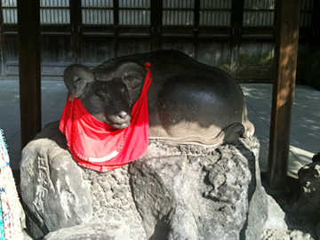 牛嶋神社 撫で牛