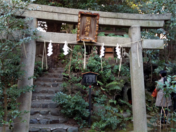 赤坂氷川神社 西行稲荷