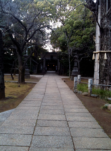 赤坂氷川神社 参道