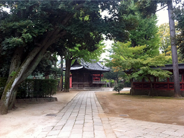 根津神社 神楽殿