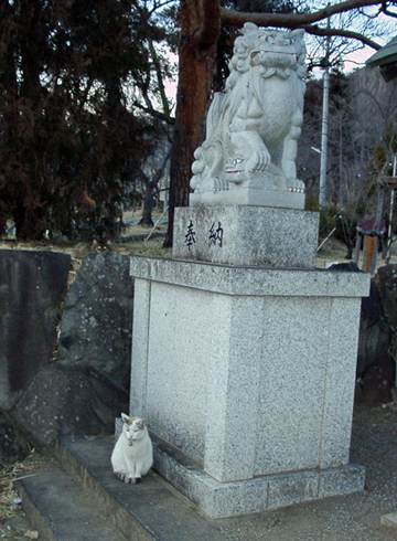 山梨縣護國神社 狛犬と猫