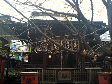 柳森神社 社殿