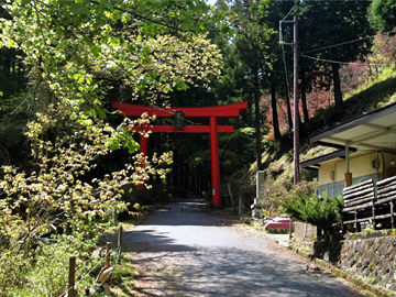 名草厳島神社 鳥居