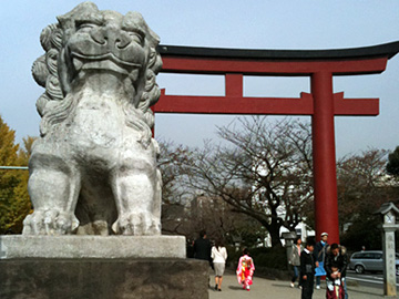 鶴岡八幡宮 狛犬