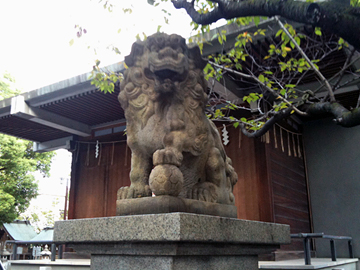 亀戸香取神社 狛犬