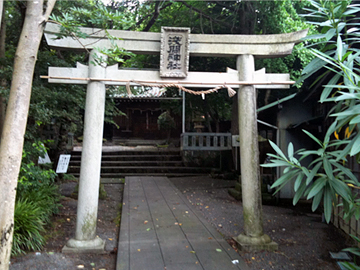 浅間神社 鳥居