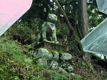 三峯神社 狛狼