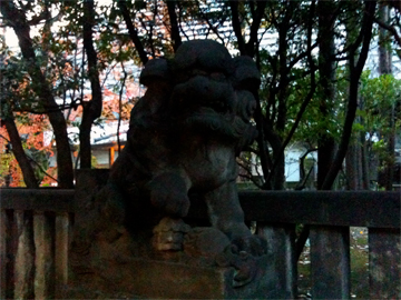 西久保八幡神社 狛犬