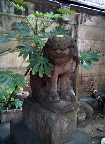 銀杏岡八幡神社 狛犬