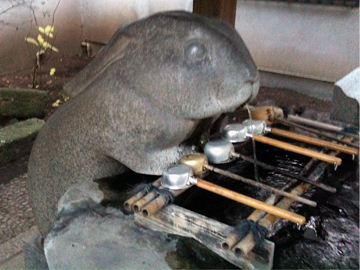 調神社 手水舎 兎