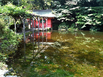 富士山本宮浅間大社 湧玉池