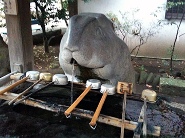 調神社 手水舎 兎