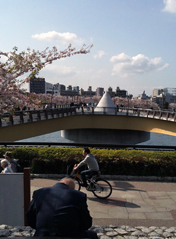 隅田川 桜橋