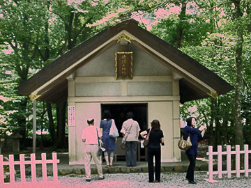 佐瑠女神社