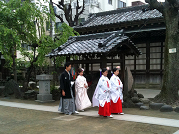 牛嶋神社 結婚式