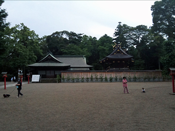 鷲宮神社