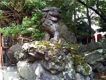 江東天祖神社 狛犬