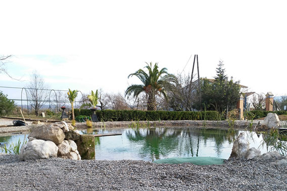 Piscina ecológica en Barcelona