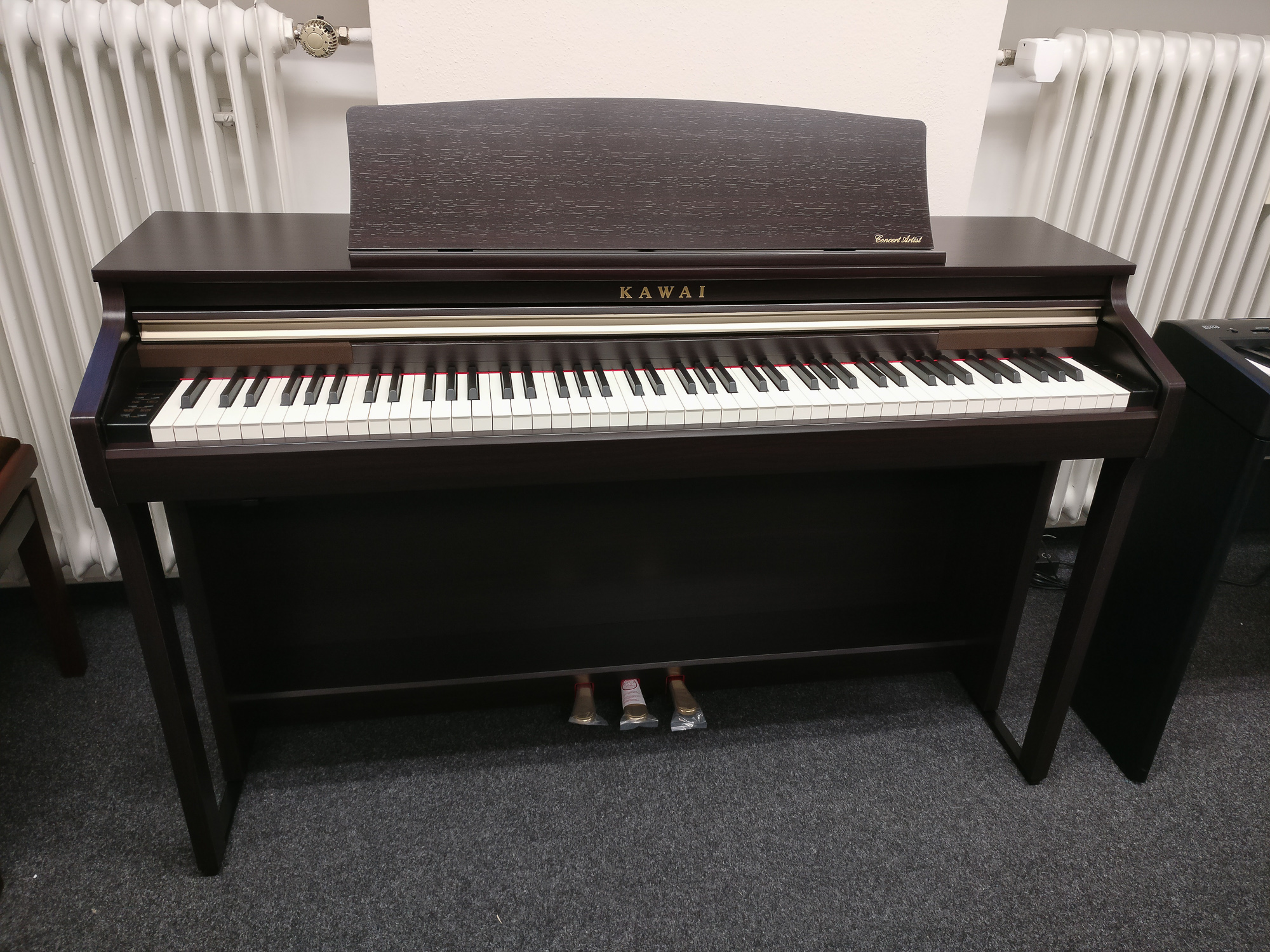 Ca48 kawai hot sale