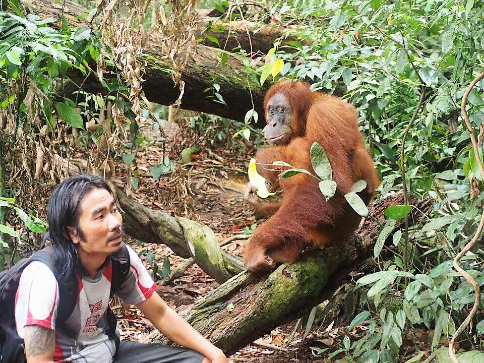 Dschungeltrek in Bukit Lawang