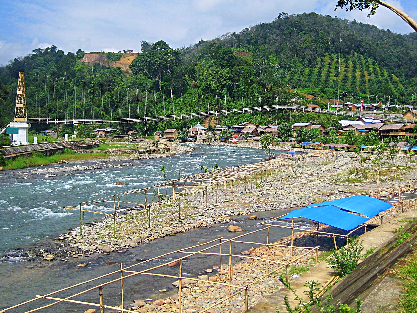 Bukit Lawang