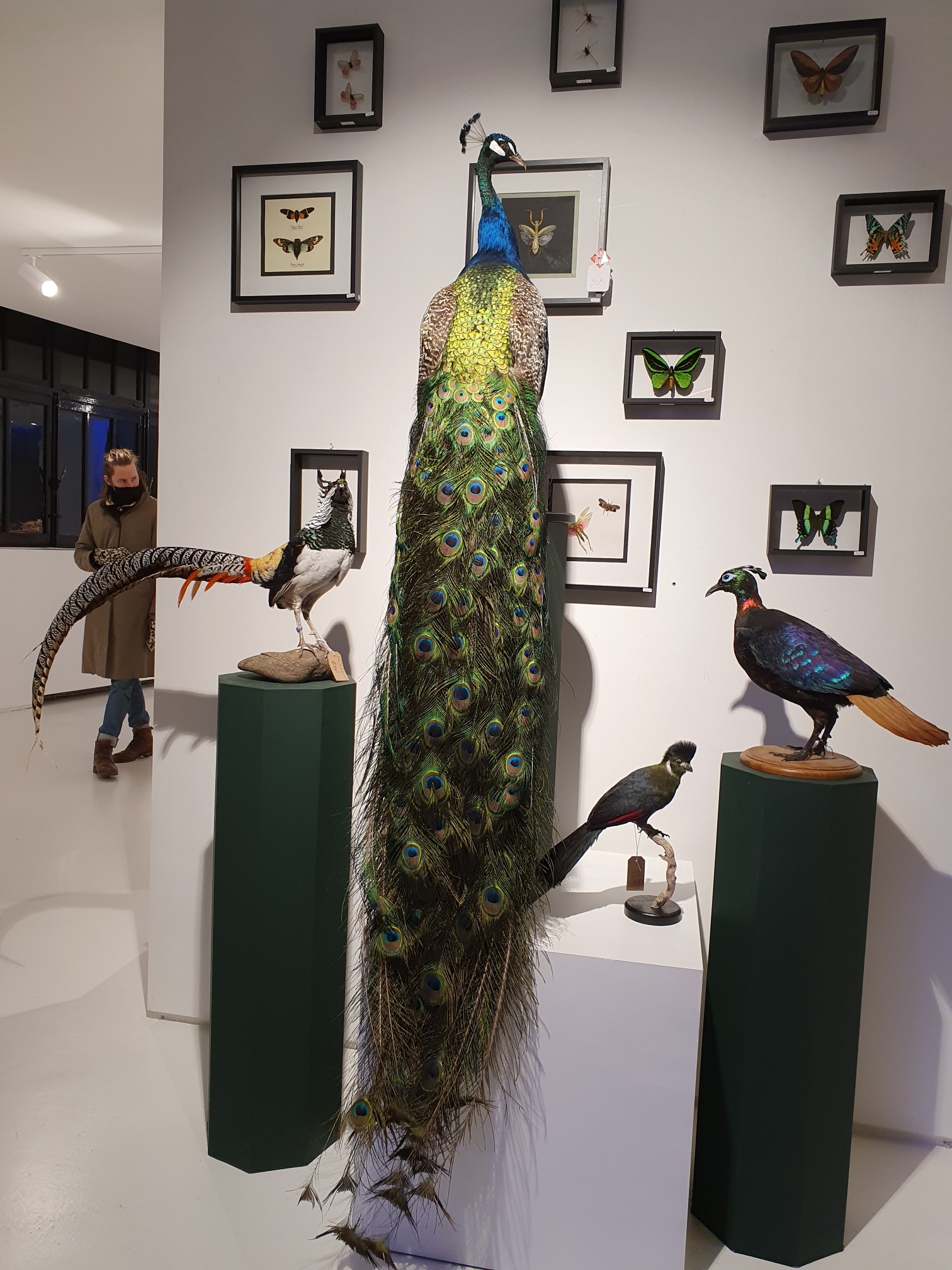 Crazy Stuff in der Kunstgalerie p. 4