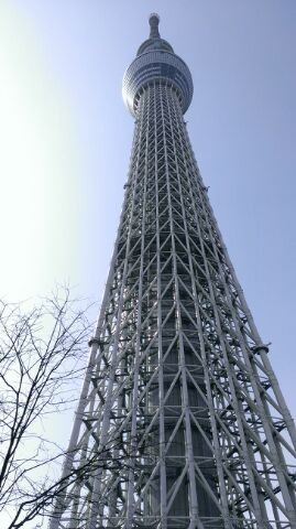 全長何メートルだっけ??