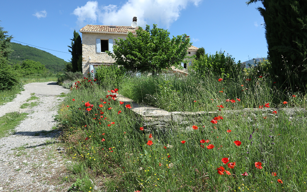 Maison derrière les coquelicots