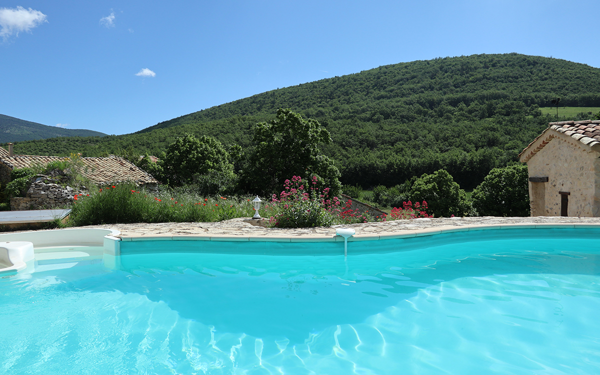 Paysage autour de la piscine