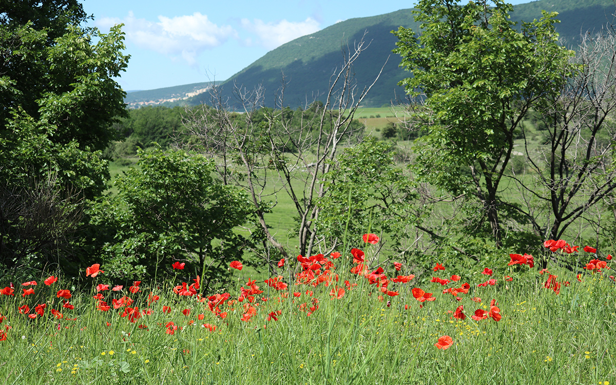 Vue sur Banon depuis le mas