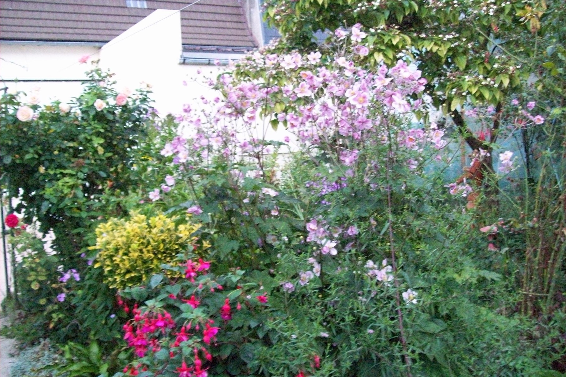 Visite au jardin
