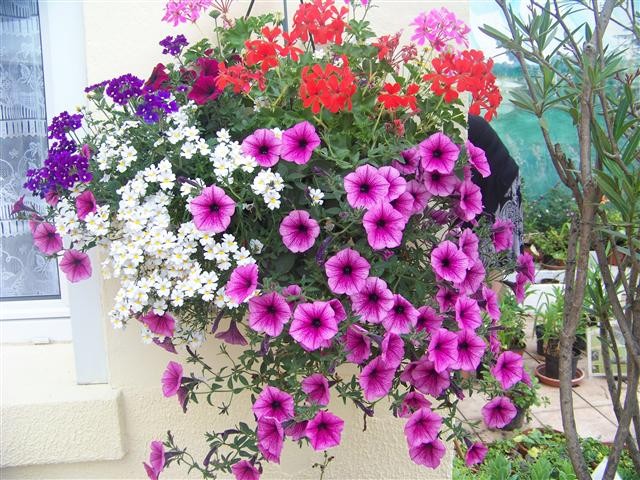 Dites-le avec des fleurs !