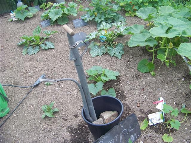 Une méthode ancienne pour l'arrosage !