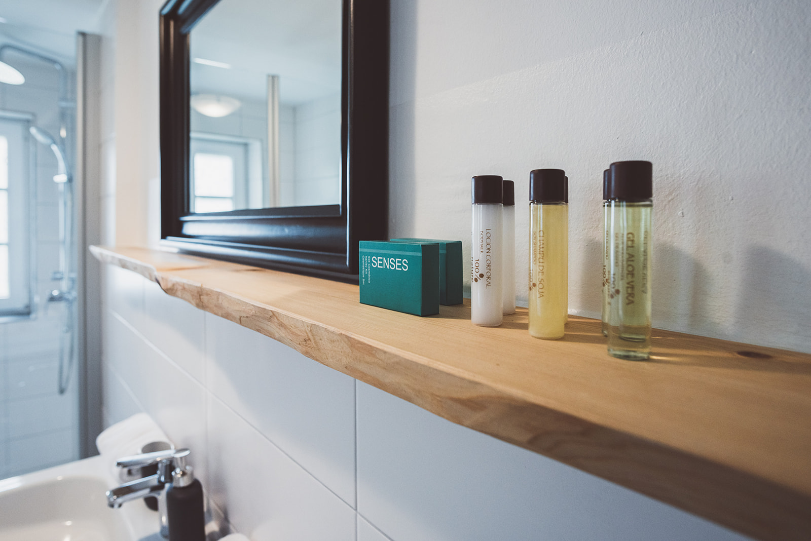 Shampoo, Duschgel Apartment mit Bergblick 