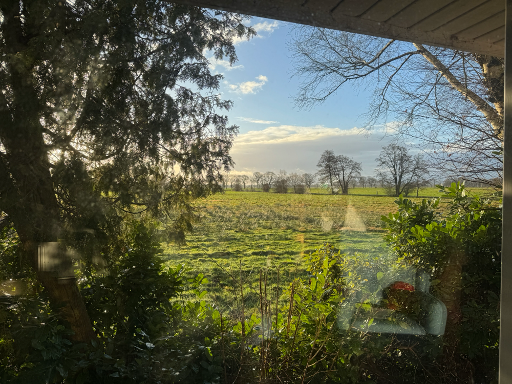 Blick aus der Praxis in Jade