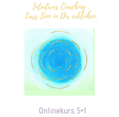 Onlinekurs 5+1 