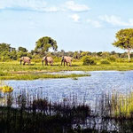 NAMIBIA – ETOSHA – CASCATE VITTORIA – SAFARI IN HOUSEBOAT SUL FIUME ZAMBESI DESERT OFFROAD ADVENTURE