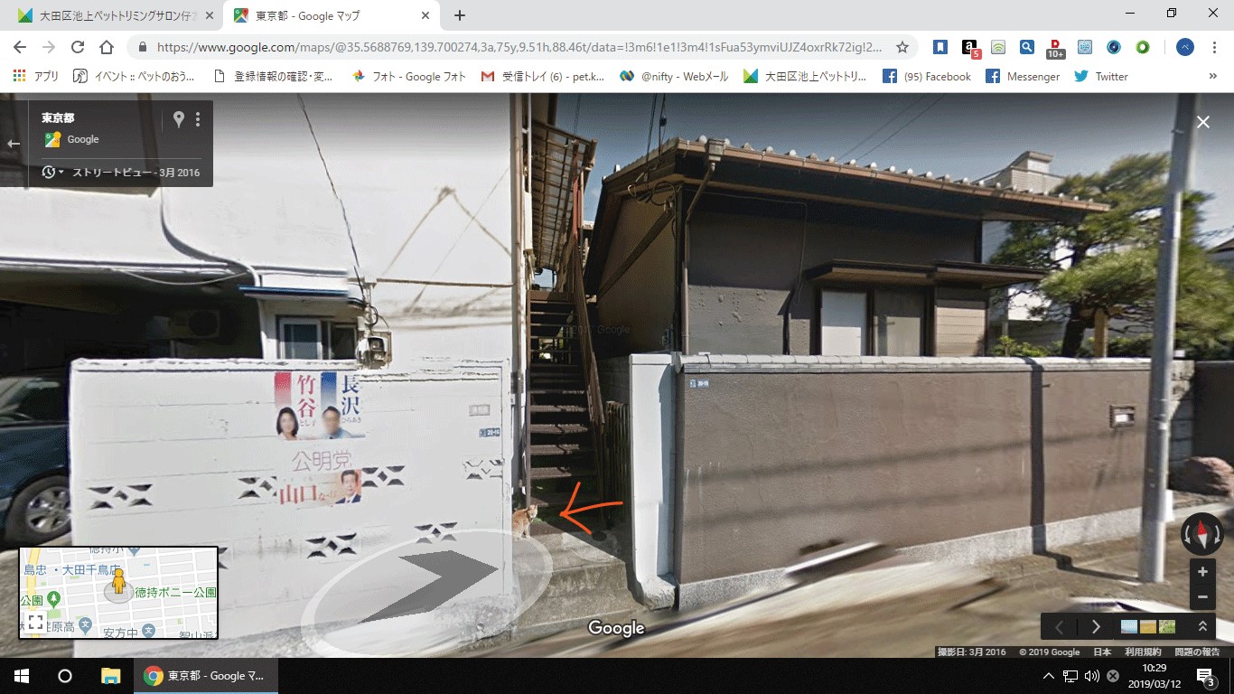 モモの部屋2 ペットのトリミング仔友会 こともかい モモの部屋2 ペットのトリミング仔友会 こともかい