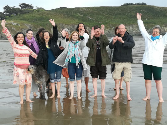 Méditation connexion aux dauphins et à la joie, Bretagne