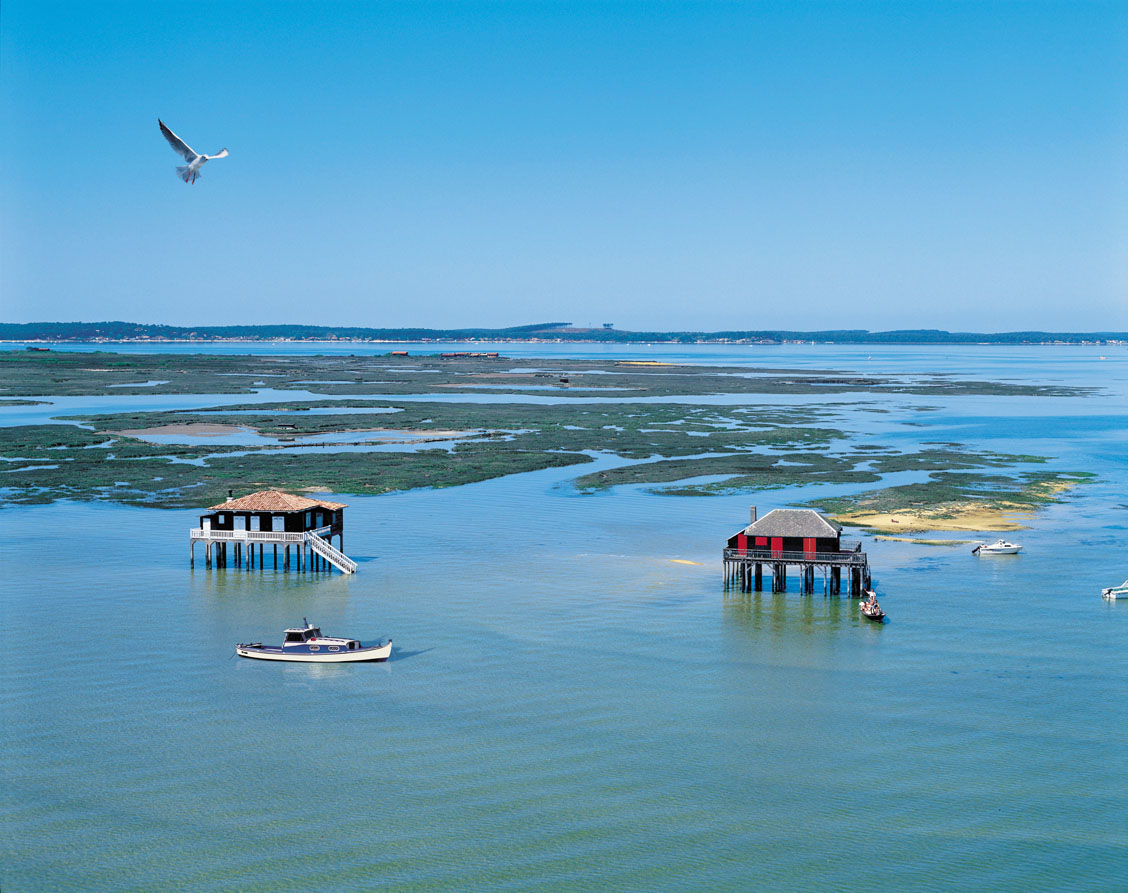 île aux oiseaux