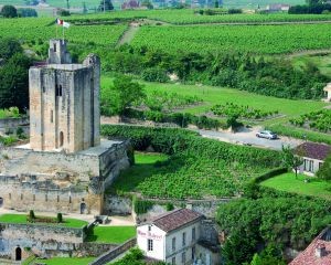 Tour du Roy et vue sur les vignes