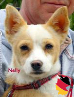 Nelly