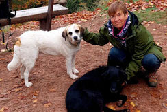 Silke Wiebrock