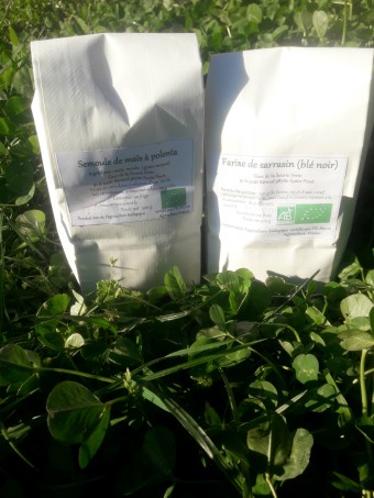 Des Farines Bio Locales Sans Gluten Kiwi Lentilles Du Gaec De La Souris Verte En Isere